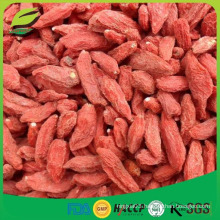 dried chinese red organic goji berry